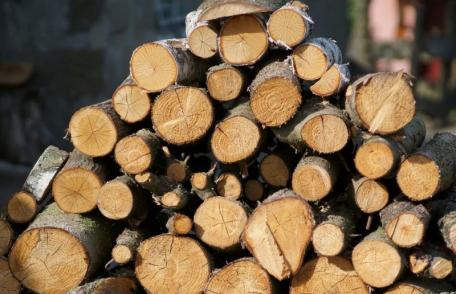 Material lemnos confiscat de polițiștii din Știubieni. Șoferul sancționat cu 5.000 de lei