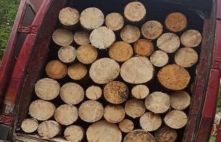 3 metri cubi de material lemnos confiscat de polițiștii din Dorohoi