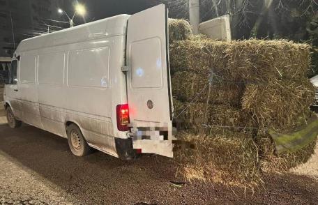 Material lemnos confiscat de polițiștii din Botoșani