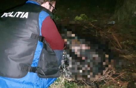 Botoșănean condamnat la 3 ani și două luni de închisoare pentru uciderea animalelor