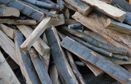 Material lemnos confiscat de polițiști la Șendriceni și Dorohoi