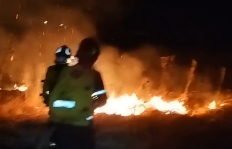 Aproximativ 15 hectare de teren din Leorda afectate de un incendiu produs din imprudență
