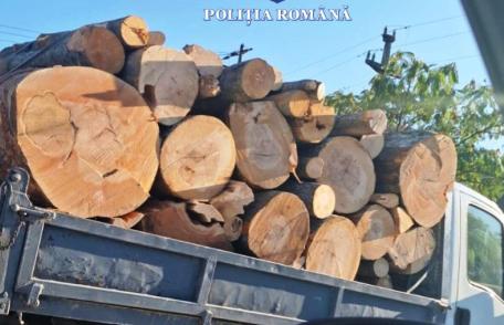 Sancționat cu amendă în valoare de 1.000 de lei pentru o abatere la regimul silvic