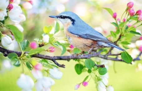 Horoscopul săptămânii 23 – 29 martie: Blocajele încep să dispară pentru toate zodiile