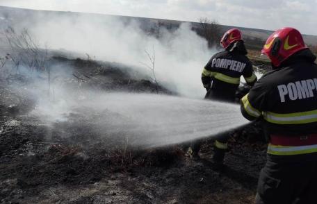Incendii de vegetație în județ. Focul a distrus terenuri și culturi