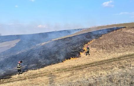 Pompierii au acționat, în ultimele ore, pentru stingerea a cinci incendii de vegetație uscată