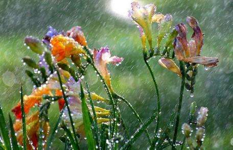 Un nou ciclon aduce de joi ploi, vânt, lapoviță și ninsori la munte. Cum va fi vremea de Florii și Paște