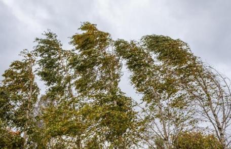 Astăzi și mâine, vânt puternic pentru județul Botoșani