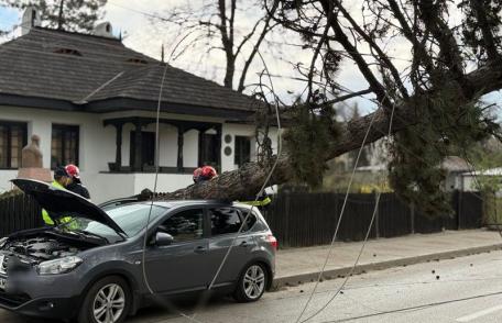 Vântul a doborât un copac și doi stâlpi de electricitate în Botoșani. Un autoturism a fost avariat - FOTO