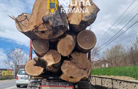 Peste 30 de metri cubi de material lemnos și o autoutilitară confiscate de polițiștii Secției nr. 1 