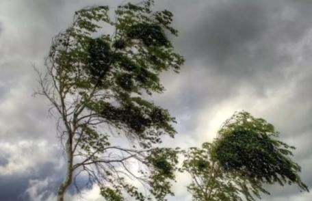 Cod Galben de vânt puternic, sâmbătă, pentru județul Botoșani