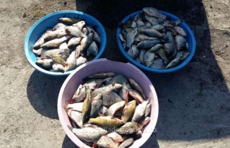 Peste 160 kg de pește ridicat de polițiști