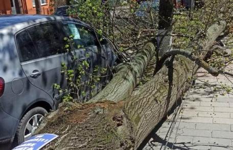 Intervenții în lanț ale pompierilor, după codul portocaliu de vânt în Botoșani