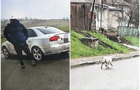 Sancționat cu 3.000 de lei pentru ca a abandonat un cățel