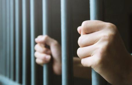 Închisoare cu executare după ce și-a ucis propriul câine. Sentință definitivă. Un bărbat din Suceava, dus direct la penitenciarul Botoșani