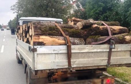 Amendă de 2.000 de lei și material lemnos confiscat