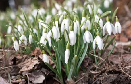 Căldura din Africa alungă ploile din România 