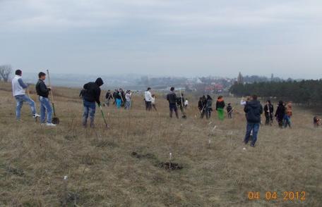 Parteneriat „Eco” între Primăria Dorohoi și Grup Școlar „Regina Maria”