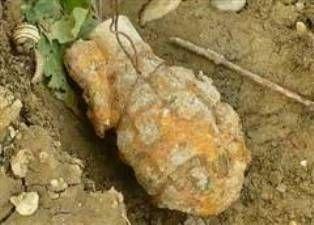 Grenadă găsită într-o grădină din Unţeni