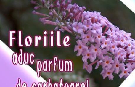 Obiceiuri şi superstiții: Ce nu ştiai despre Duminica Floriilor