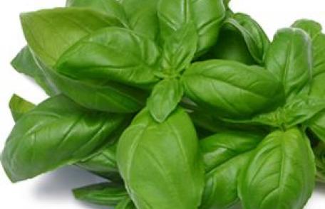 10 beneficii ale busuiocului de Paşti
