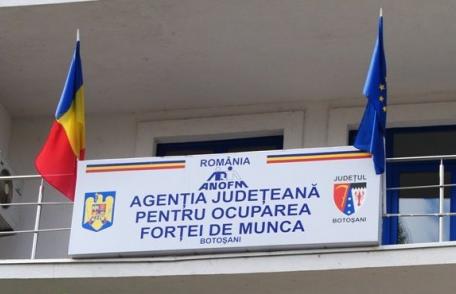 AJOFM Botoșani: Ziua informării pentru șomeri și angajatori