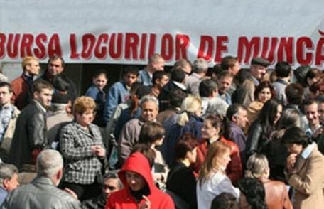Vezi locurile de muncă oferite la Bursa locurilor de muncă organizată de AJOFM Botoşani
