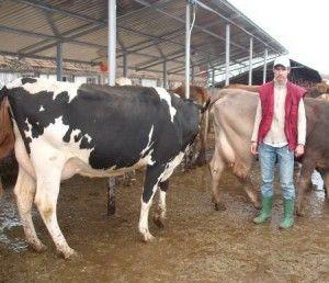 Subvenția pentru fermierii botoșăneni deblocată cu ajutorul deputatului Florin Țurcanu