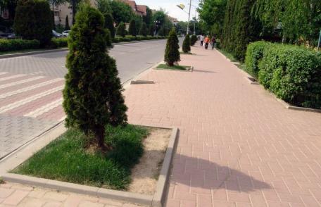 La Dorohoi, spațiile verzi „ne cheamă” la protecție