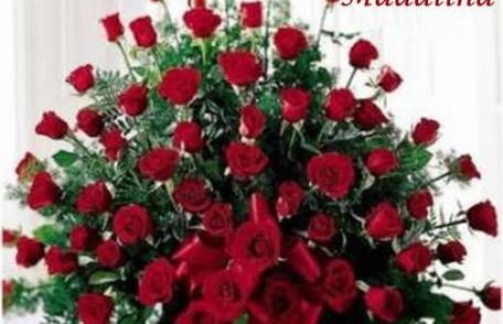 Trupa One Two Step urează un sincer şi un călduros „La mulţi ani!” colegei de trupă