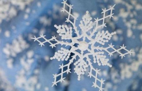 La jumătatea lunii Noiembrie, vine iarna