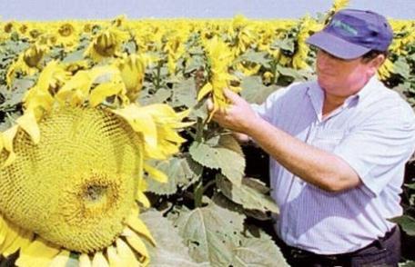 Ţăranii ar putea scoate România din criză. Câte persoane lucrează în mediul rural fără să plătească taxe