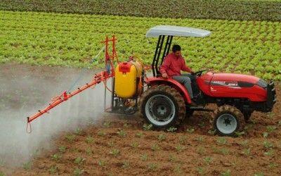 CANICULA distruge legumele