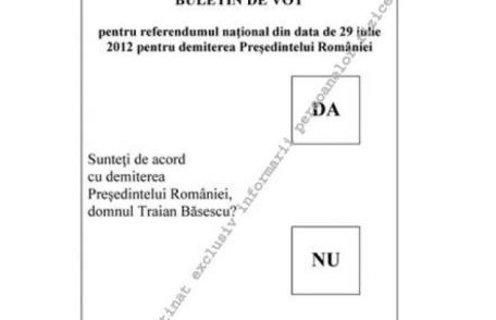 Guvernul a aprobat modelul buletinului de vot de la referendum