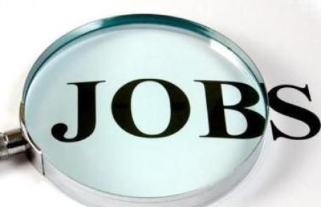 Domenii care au reluat cautarea de personal