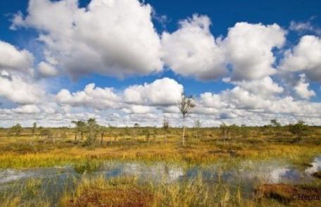 PROGNOZA METEO pentru următoarele două săptămâni