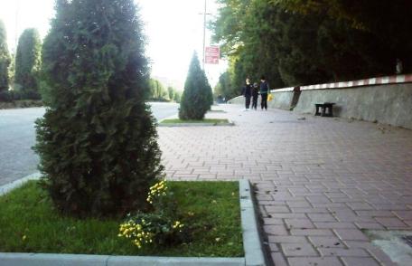 Spaţii verzi vandalizate in Dorohoi