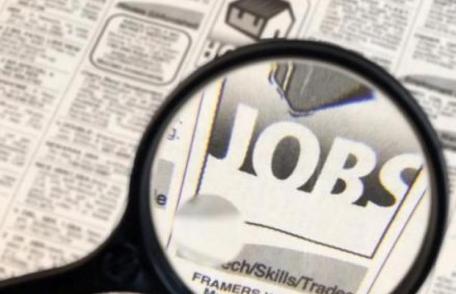 Peste 5000 de persoane înregistrate la AJOFM Botoșani, în căutarea unui loc de muncă 