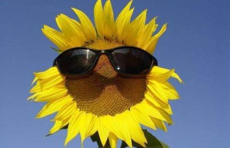 Săptămâna începe cu vreme în încălzire în toată ţară