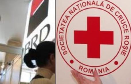 Crucea Roşie continuă sprijinul pentru victimele inundatiilor din iunie – iulie 2010