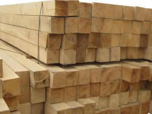 S-a reluat reconstructia caselor la Dorohoi dupa ce in aceste zile a sosit cheresteaua de la Guvern