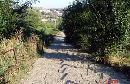 Iresponsabilitate civică: Ce mai trebuie distrus în Dorohoi?