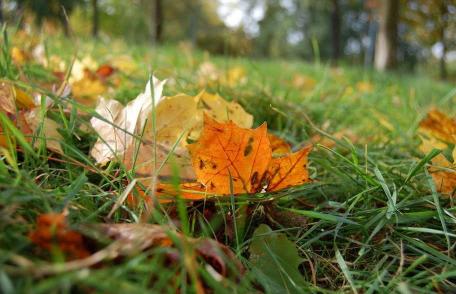Vremea îi sperie pe meteorologi. Vezi ce temperaturi vor fi la începutul lunii octombrie