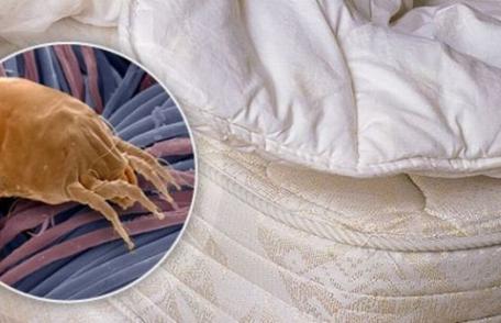 Duşmanii din perne. Ce boli poţi face atunci când dormi şi cum să le previi