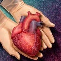 Donarea de organe dupa moarte, optiune in cardul de asigurat