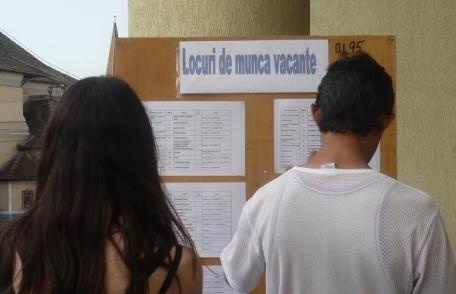 AJOFM: Locuri noi de muncă pentru economist, consilier instituție publică și muncitor constructor