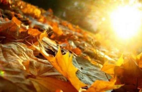 Primăvara revine pentru câteva zile! Aflaţi ce temperaturi vor fi în această săptămână!