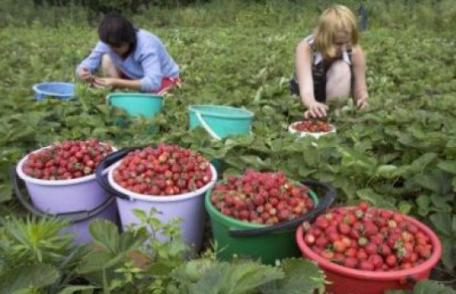 Românii plecaţi în străinătate au trimis peste 35 de miliarde de euro în ţară în ultimii opt ani