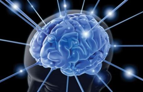 Abuzul de alcool poate micşora creierul