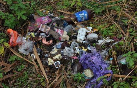 Primim la redacţie: „Legea bunului simţ”